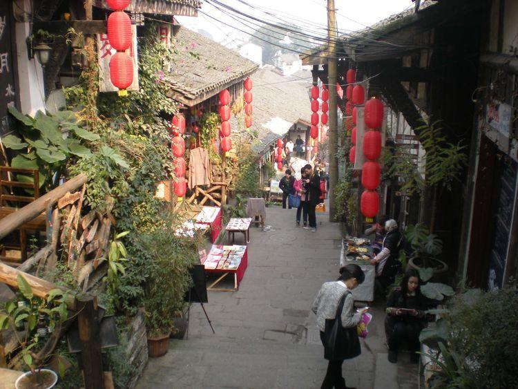森迪公主夏日度假